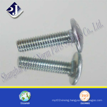 DIN603 Carriage Bolt